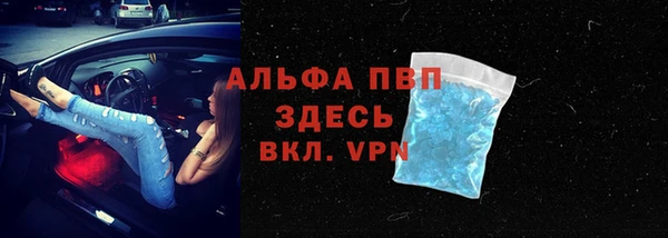 эйфоретик Богданович