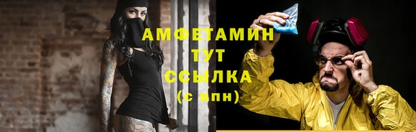 эйфоретик Богданович