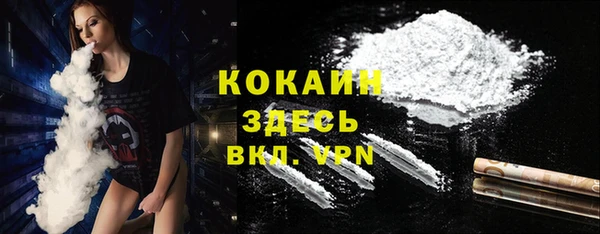 эйфоретик Богданович
