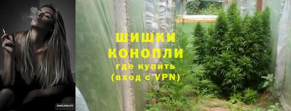 амф Богородицк