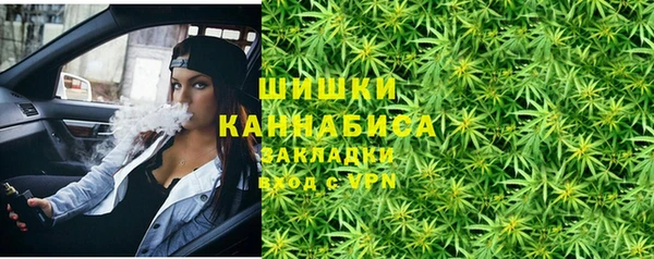 амф Богородицк