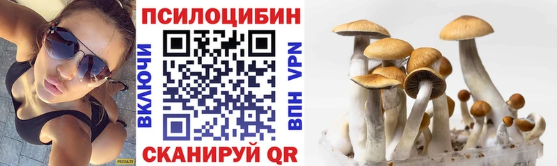 Псилоцибиновые грибы ЛСД  Кущёвская 